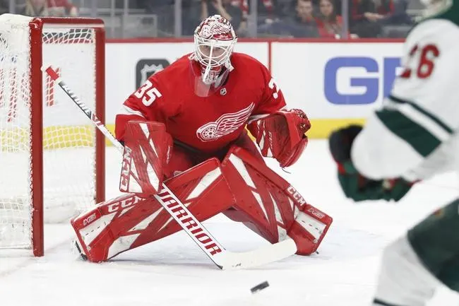 2020 Detroit Red Wings Recap - NHL Picks & Predictions