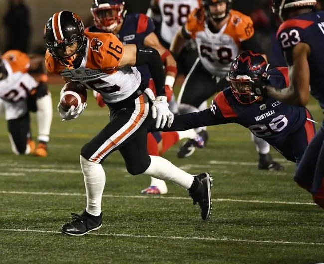 Edmonton Elks at BC Lions 11/19/21 - CFL Picks & Predictions