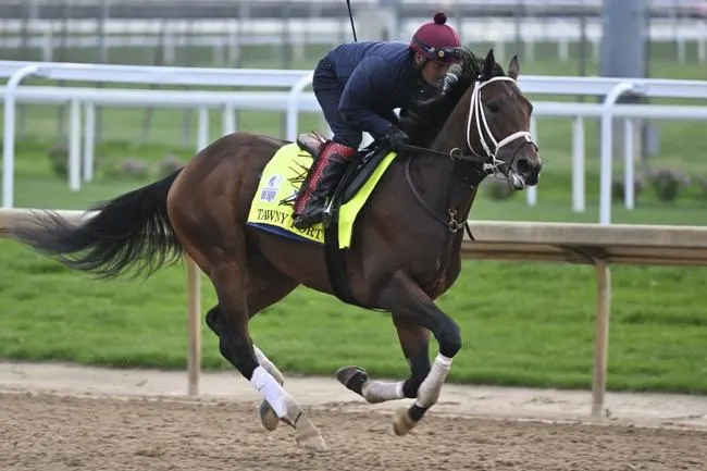 2022 Kentucky Derby Field - Cyberknife