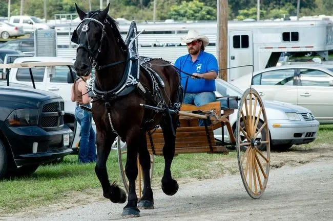 Louisiana Downs 9/19/22 - Horse Racing Picks & Predictions