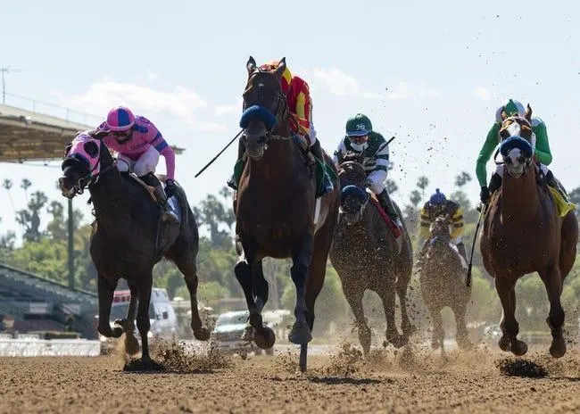 Santa Anita 10/2/22 - Horse Racing Picks & Predictions