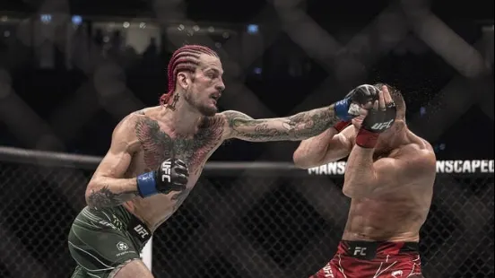 Sean O'Malley at Merab Dvalishvili 09/14/24 - MMA Picks & Predictions