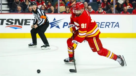 Florida Panthers at Calgary Flames 12/14/24 - NHL Picks & Predictions