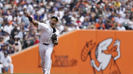 Tampa Bay Rays at Detroit Tigers 07/08/25 - MLB Picks & Predictions