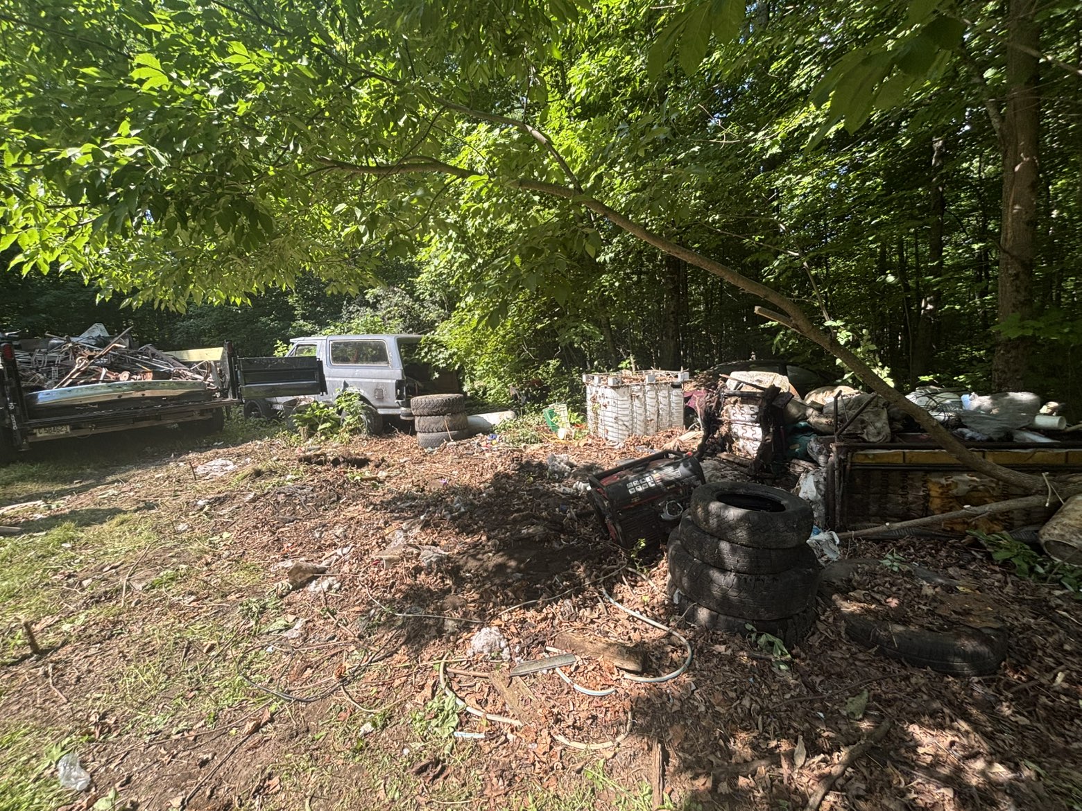 Property cleanout project