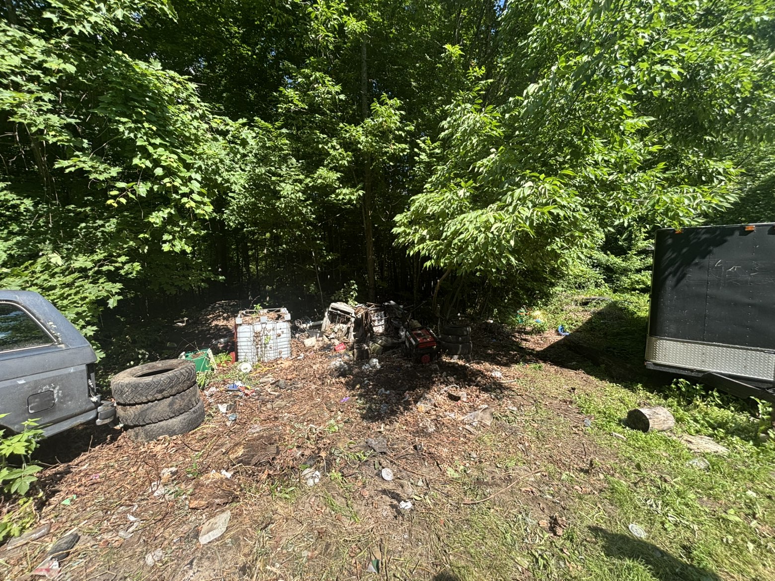 Outdoor and yard cleanup
