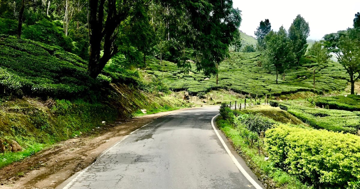 Alleppey to Munnar: Distance, Drive Time and Route | Lux India Tours