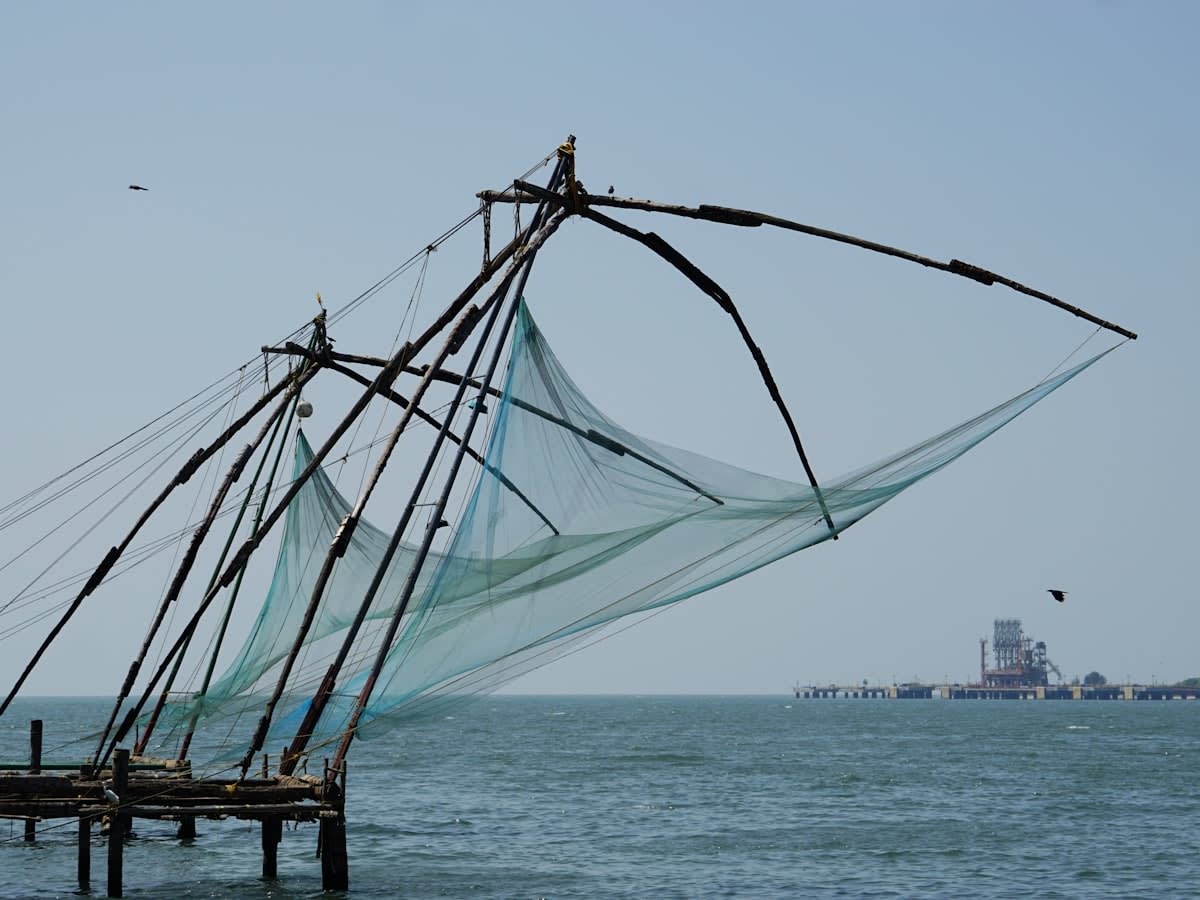 The Chinese fishing nets at the harbour mouth — the most photographed sight in Kochi, and the calmest at dawn
