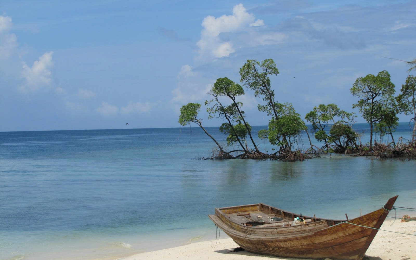 A wooden boat beside mangroves and calm water on the Havelock shore