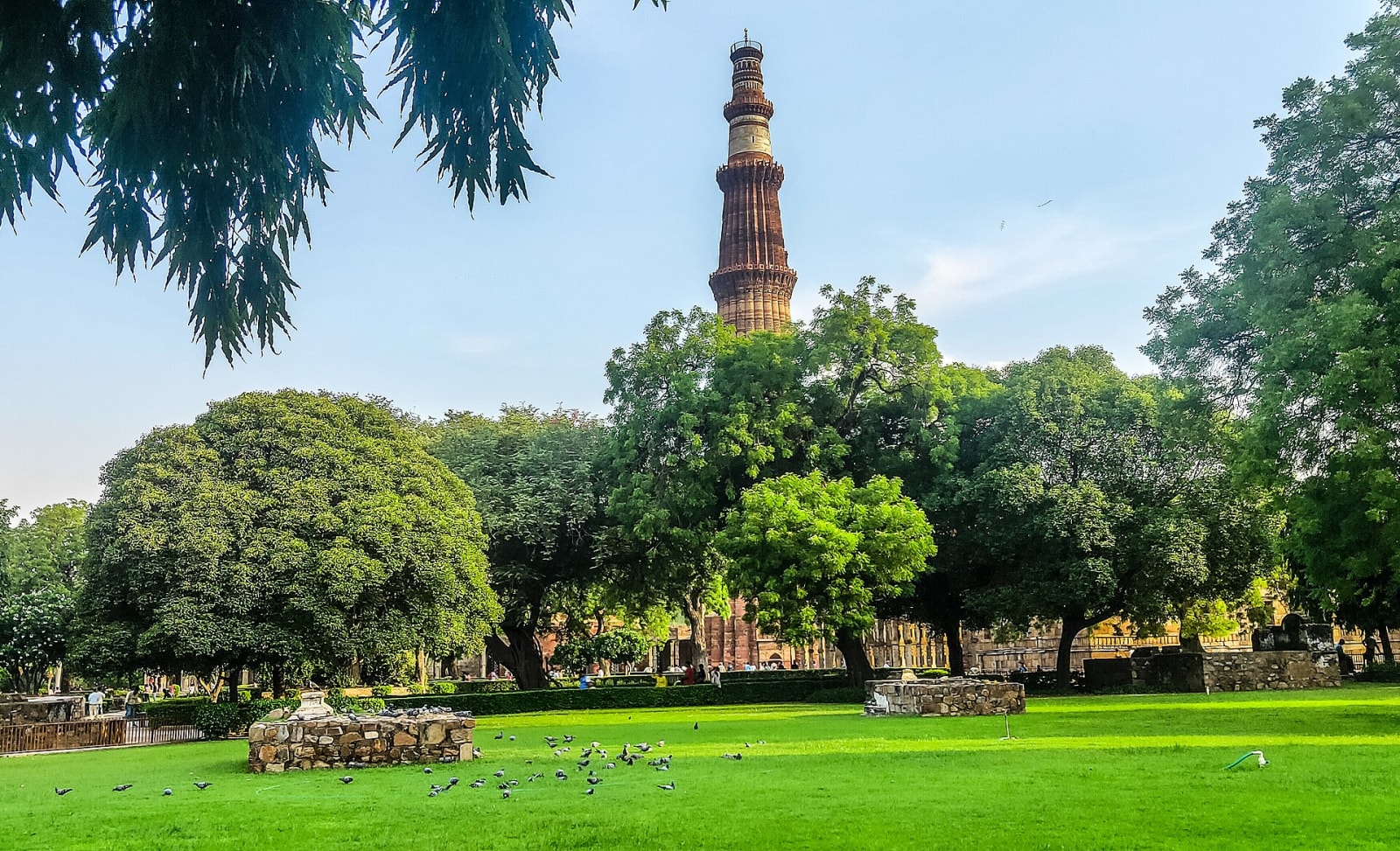 The Qutub Minar rising above trees and lawns in the Qutub complex, Delhi