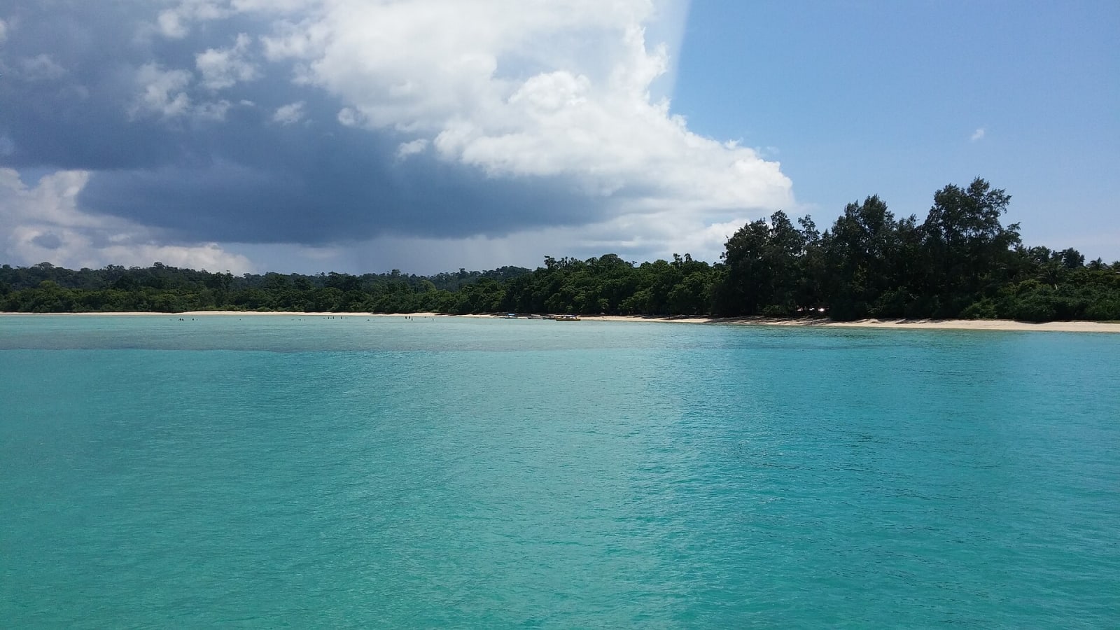 Turquoise shallows and the tree line of Bharatpur Beach, Neil Island