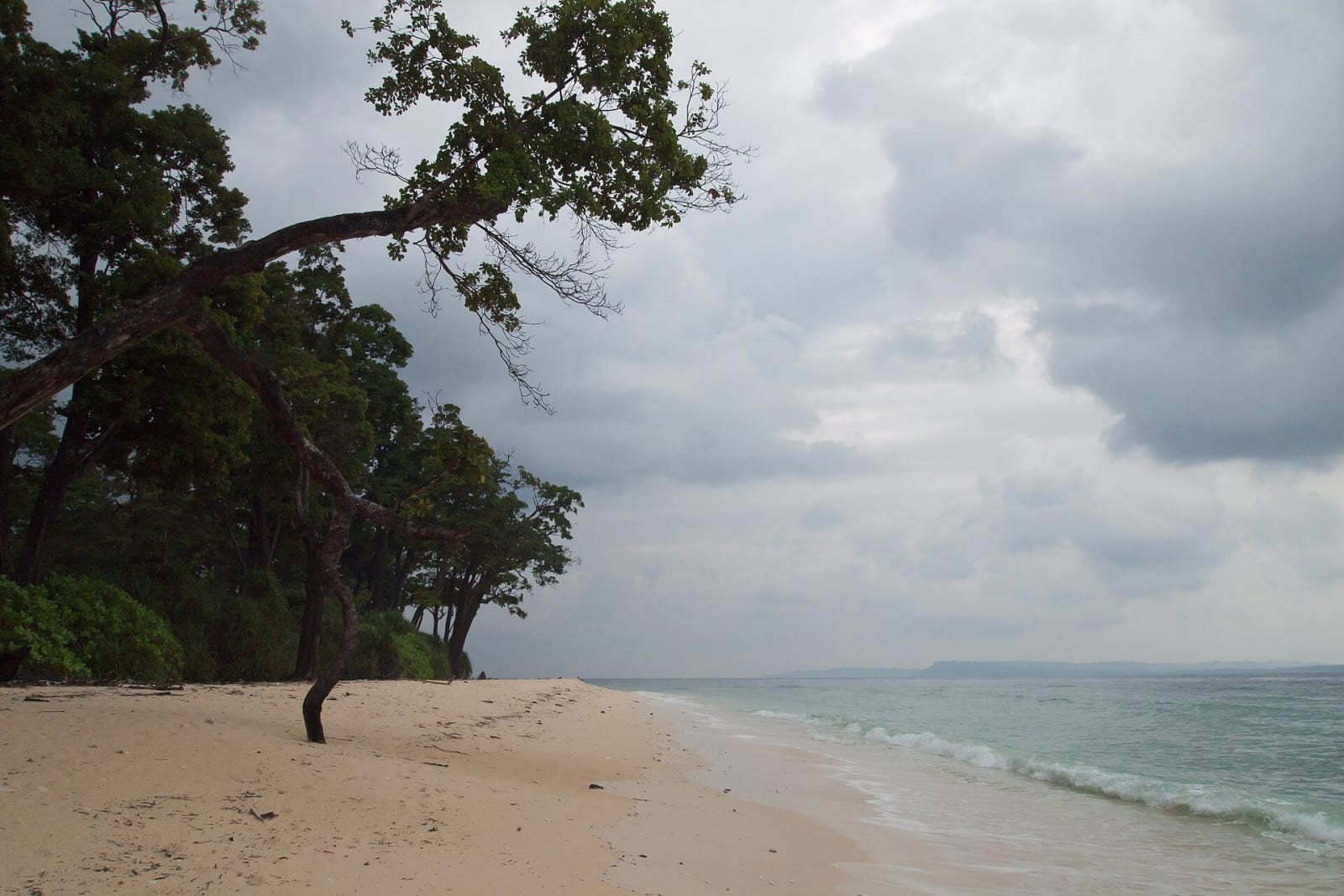 Pale sand and overhanging trees on Laxmanpur Beach, Shaheed Dweep (Neil Island)