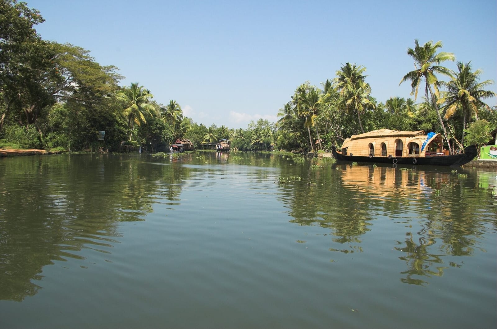 A houseboat on a calm lake lined with coconut palms at Kumarakom