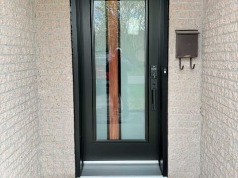 Porte d'acier contemporaine noire à vitrage pleine hauteur avec bande décorative