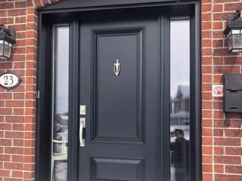 Porte d'acier classique noire à panneaux avec deux latéraux vitrés