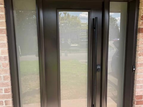 Porte d'acier contemporaine noire à poignée longue avec deux latéraux givrés