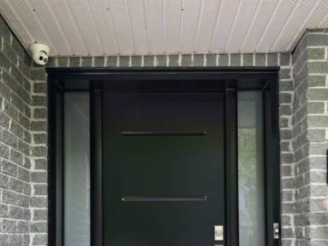 Porte d'acier contemporaine noire à rainures horizontales avec deux latéraux givrés, vue de face