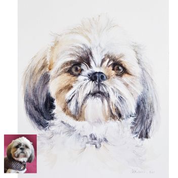 Bertie