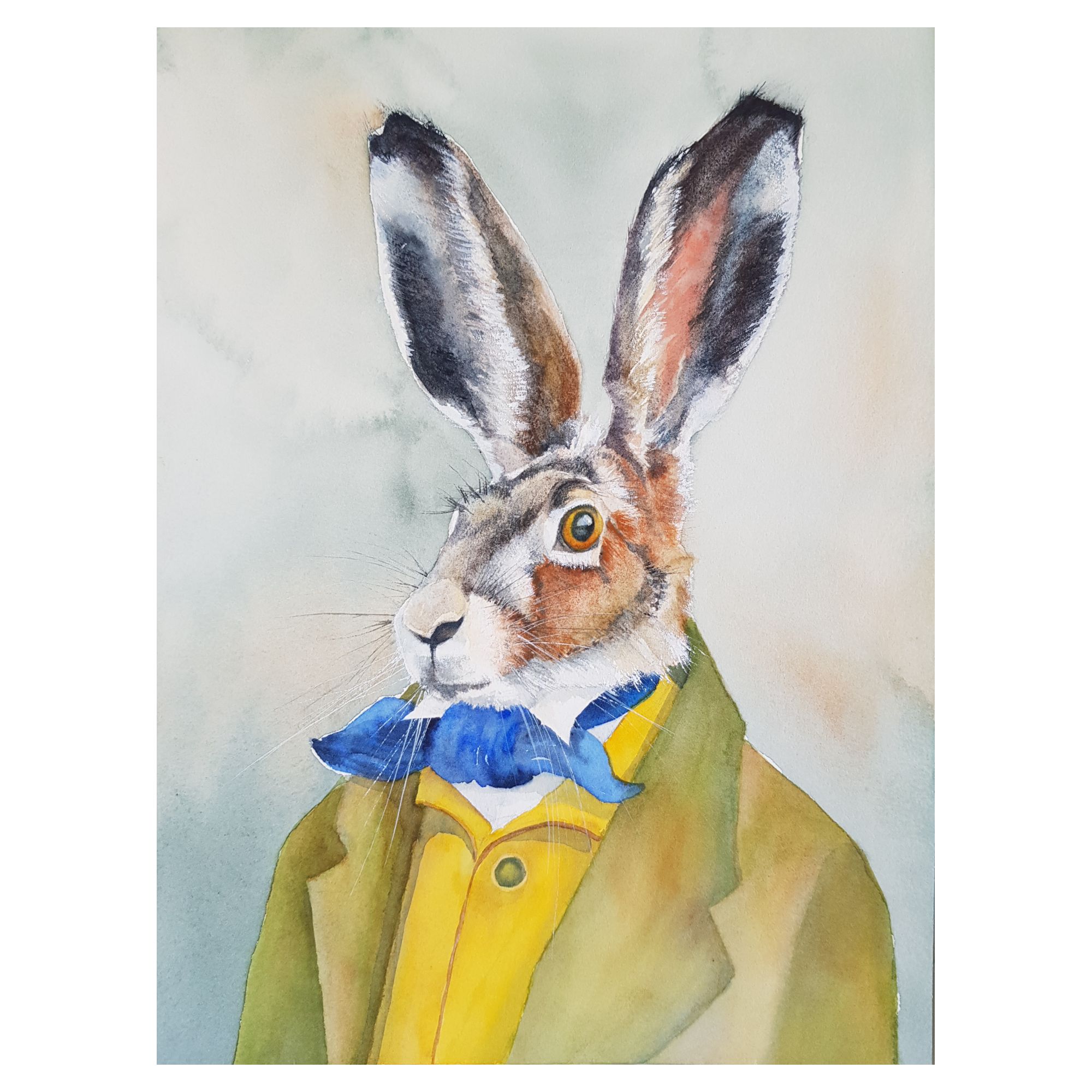 Mr Hare