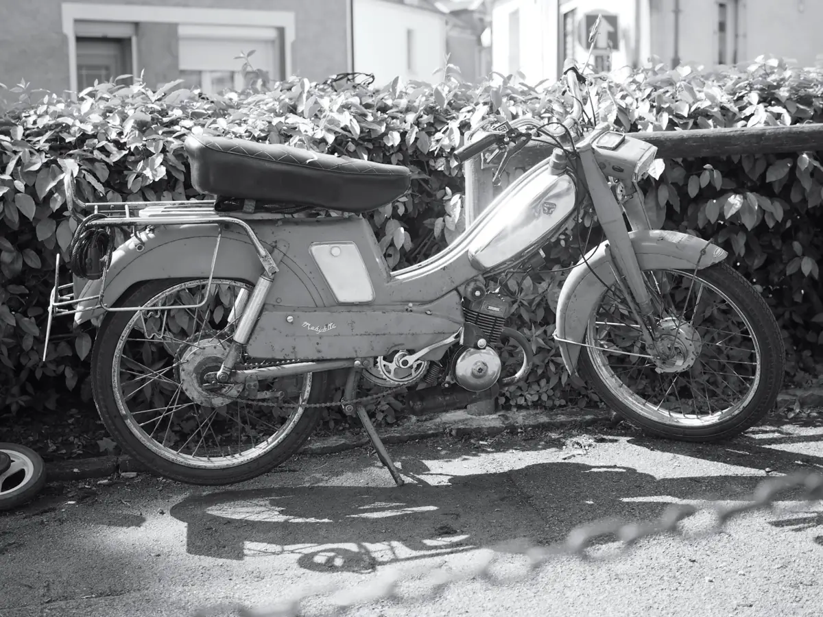 Born to be wild