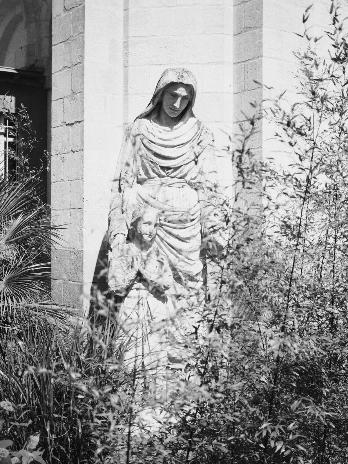 La veuve et l’orpheline