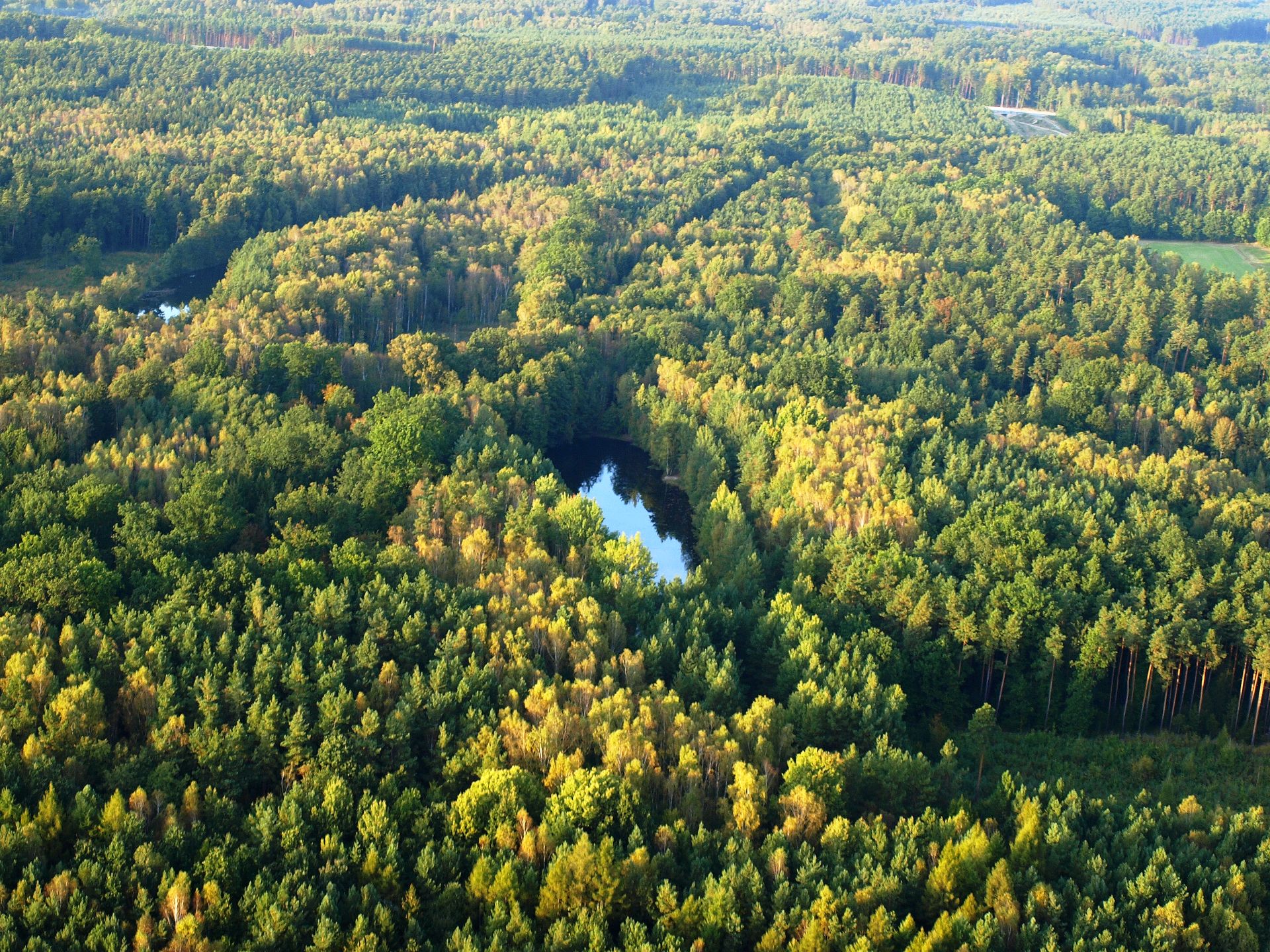 Bory Dolnośląskie