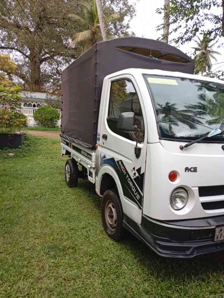 Dimo batta for sale