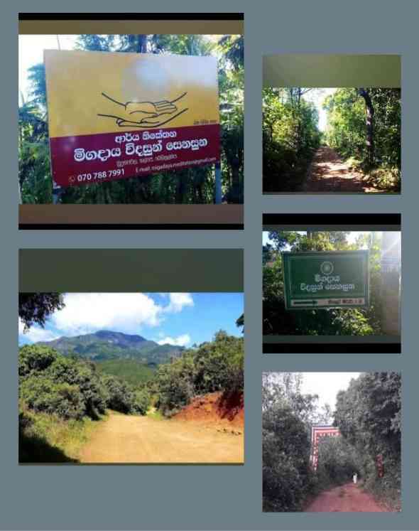 Land sale in belihuloya.