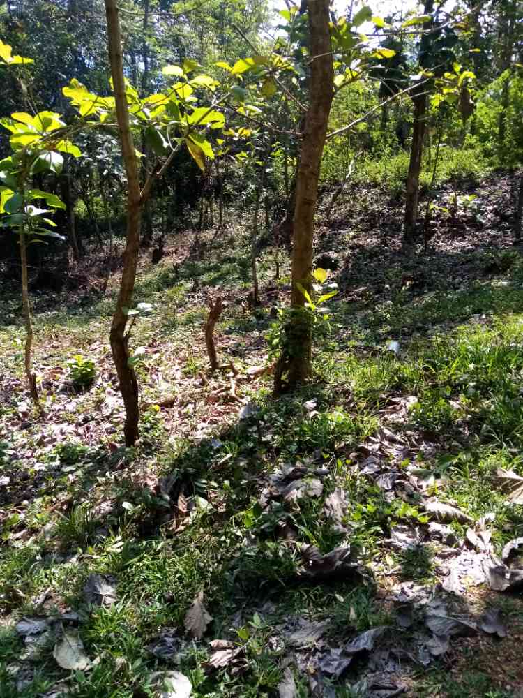 Land for sale in kurunegala