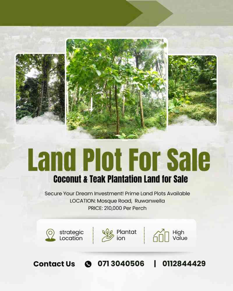 Coconut and teak plantation land plot for sale