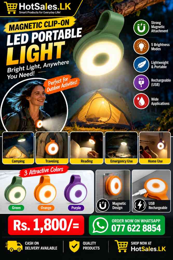 Magnetic clip-on LED portable light