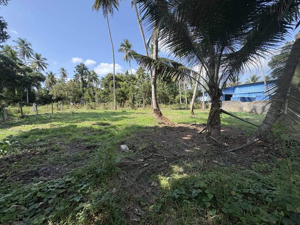 Land for sale in negombo