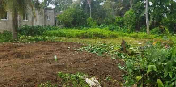 Land for sale in wellampitiya