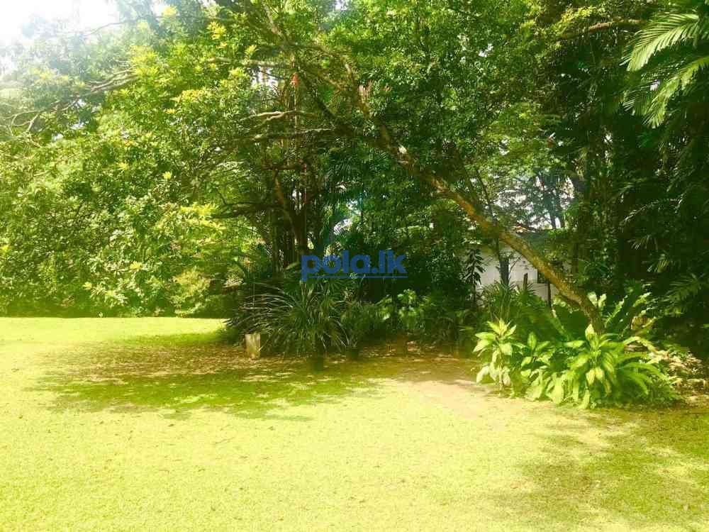 Land for sale in nawala - photo 2