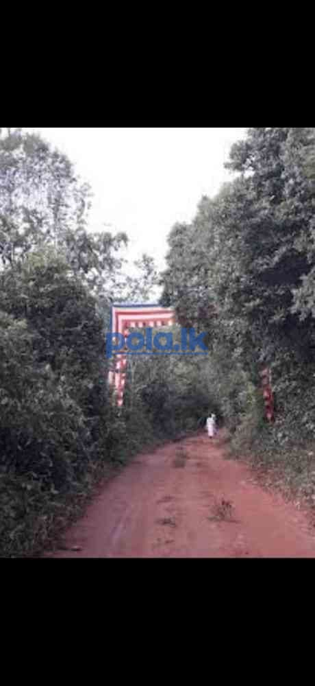 Best land in belihuloya - photo 4