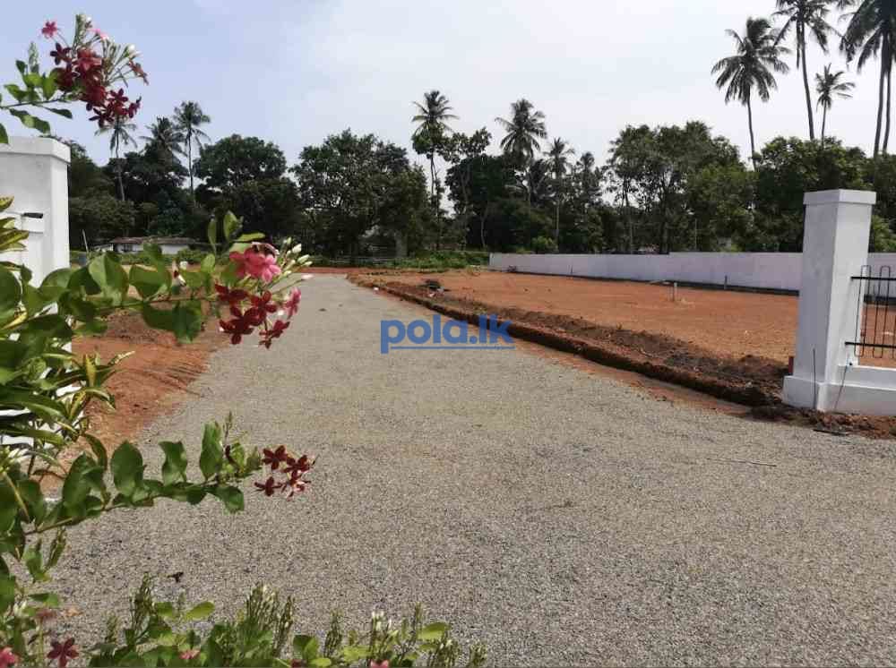 Land for sale in negambo kurana - photo 1