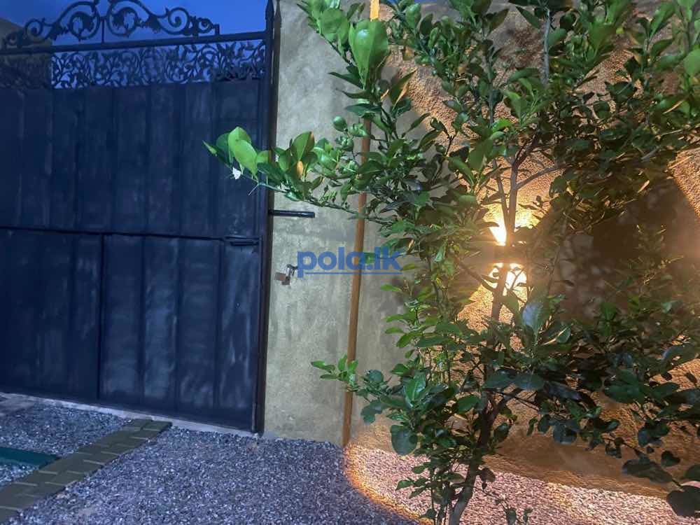 New house for rent - photo 1