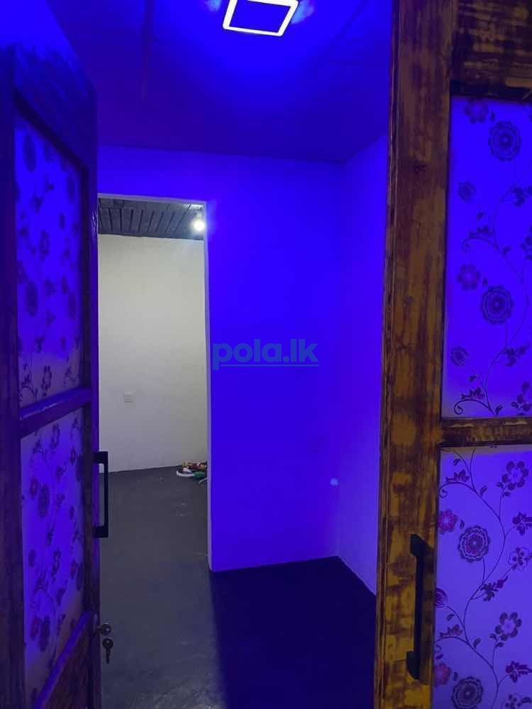 New house for rent - photo 5