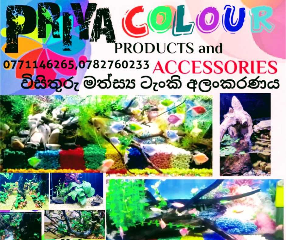 PRIYA COLOUR PRODUCTS AND ACCESSORIES