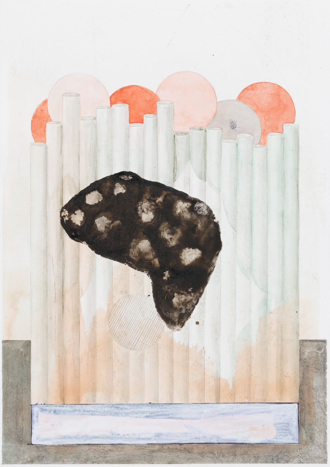 Hirschzunge, 29,7 x 21 cm, indian ink and pencil on paper