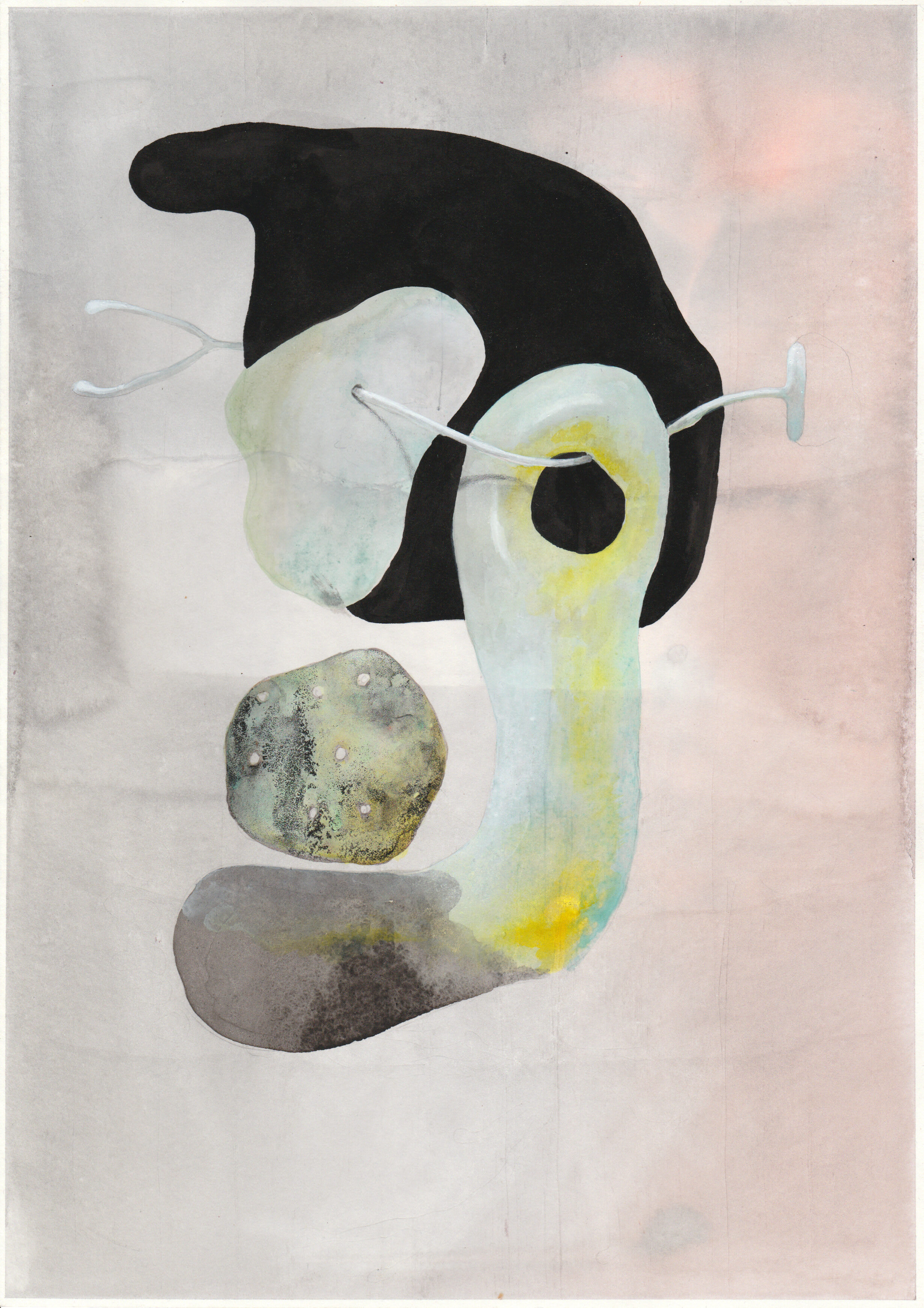 Taxonomical Shift (Brainded) 2019, 29,7 x 21 cm, indian ink and pencil on paper