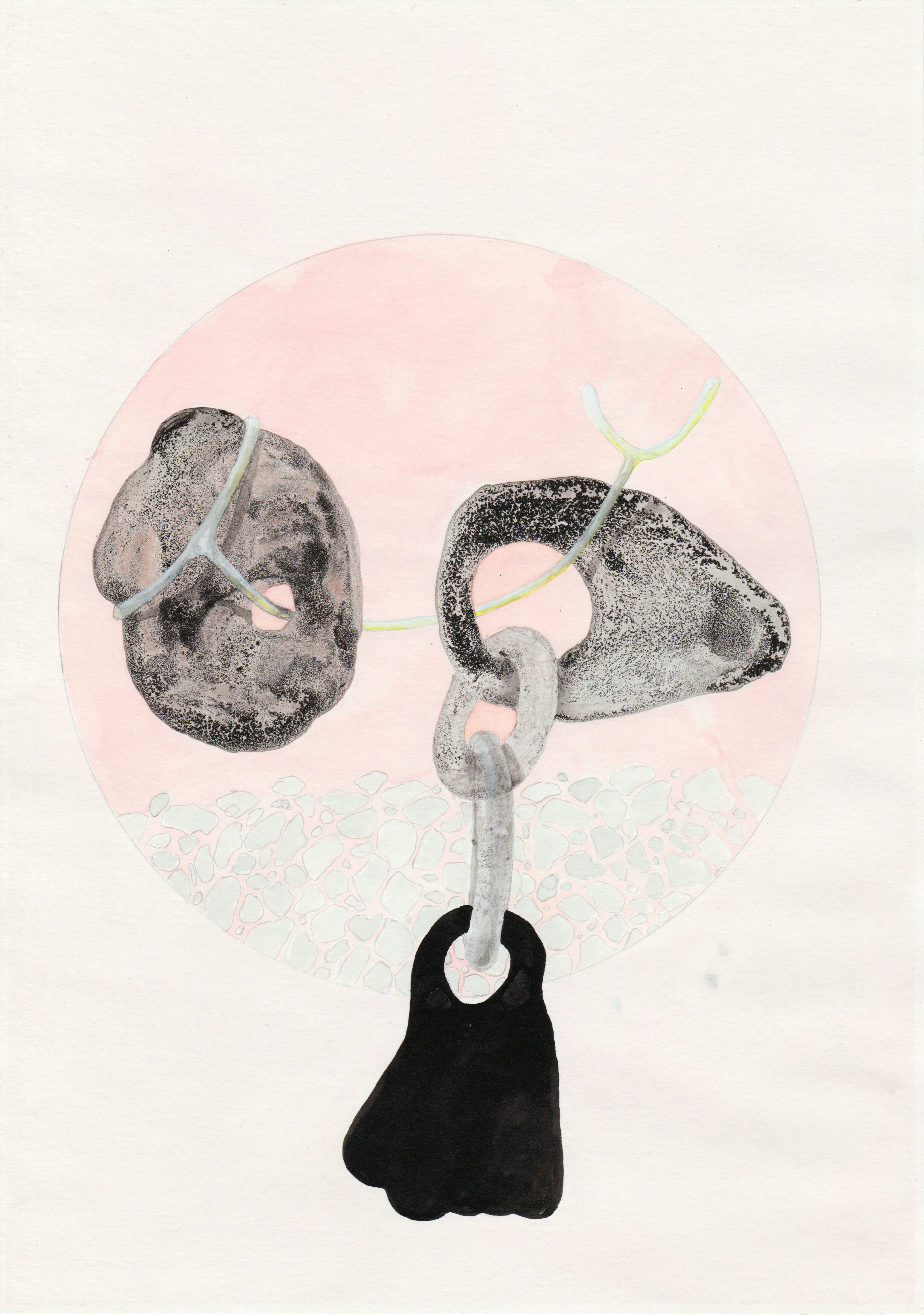 Taxonomical Shift (Lemon Ash) 2019, 29,7 x 21 cm, indian ink and pencil on paper