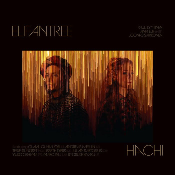 Elifantree hachi cover