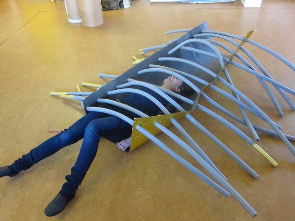 Helen Barry Investigating Spine