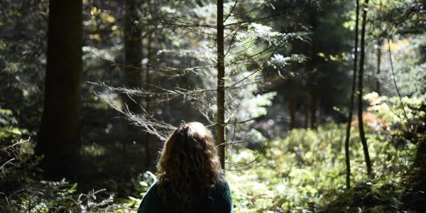 DSC9495 - Gwendolyn Masin in the Woods for Amy Littlewood Self Trust Blog