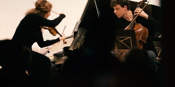 Masin Vardai Frankl GAIA2016