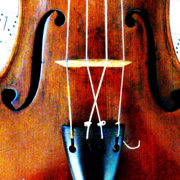 12621964 10153203956756470 964228027245537750 o