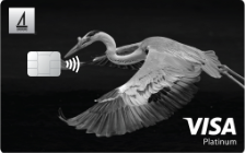Visa Platinum