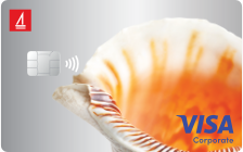 Visa Corporate