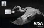 Visa Platinum